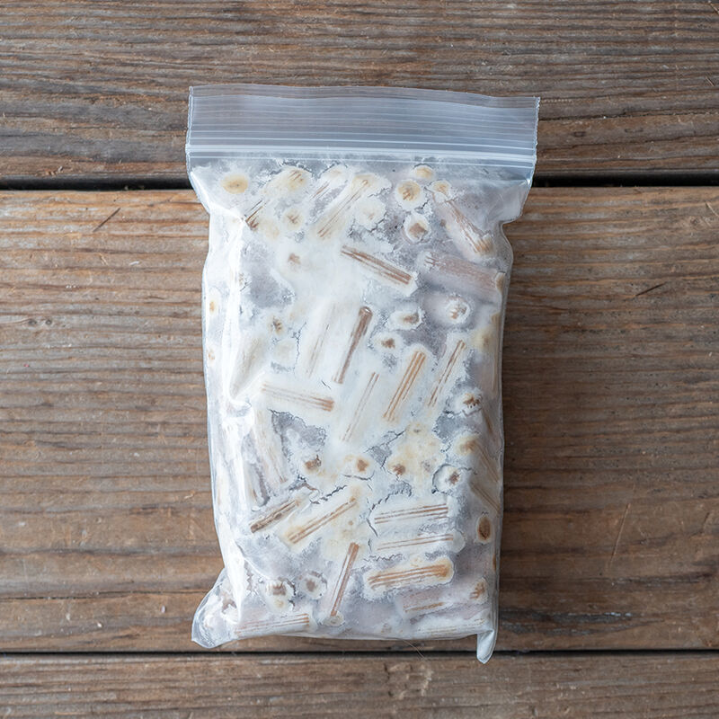 Italian Oyster Plug Spawn – 100 Count Plug Spawn