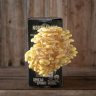 Golden Oyster 'Spray & Grow' Kit 'Spray & Grow' Kits