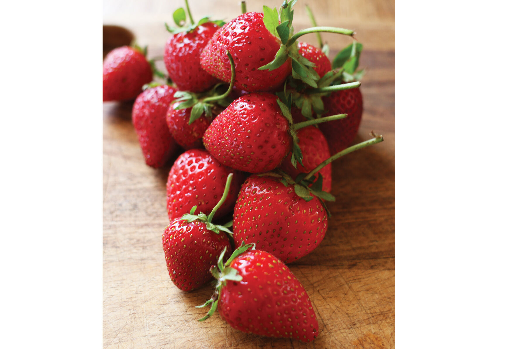 Strawberry Plant Collection Strawberry Bare-Root Plants