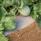 WeedGuardPlus® Paper Mulch – 24" x 100' Biodegradable & Compostable Mulch
