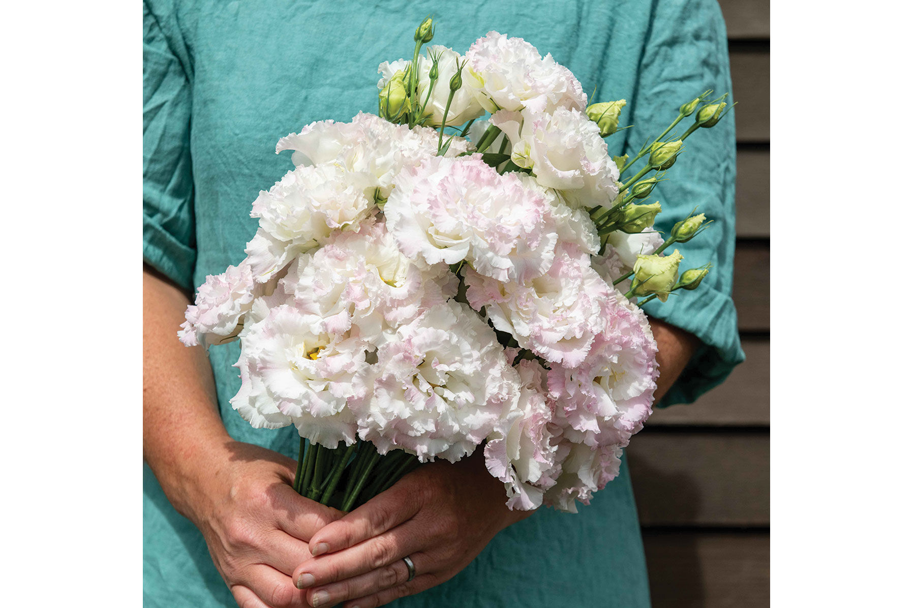 Voyage 2 First Love Lisianthus