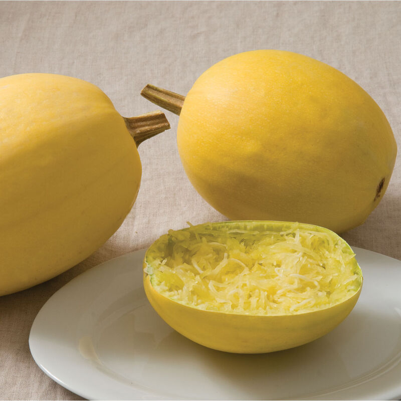 Spaghetti Squash Winter Squash