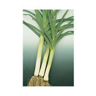 King Richard Leeks