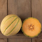 Milan Milan Cantaloupe (Muskmelon)