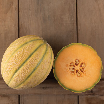 Milan Milan Cantaloupe (Muskmelon)