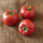 PinkID Specialty Tomatoes