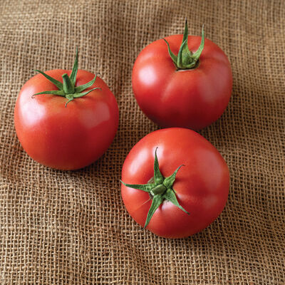 PinkID Specialty Tomatoes