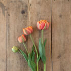 Sensual Touch Tulips