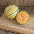 Griselet French Melons (Charentais)