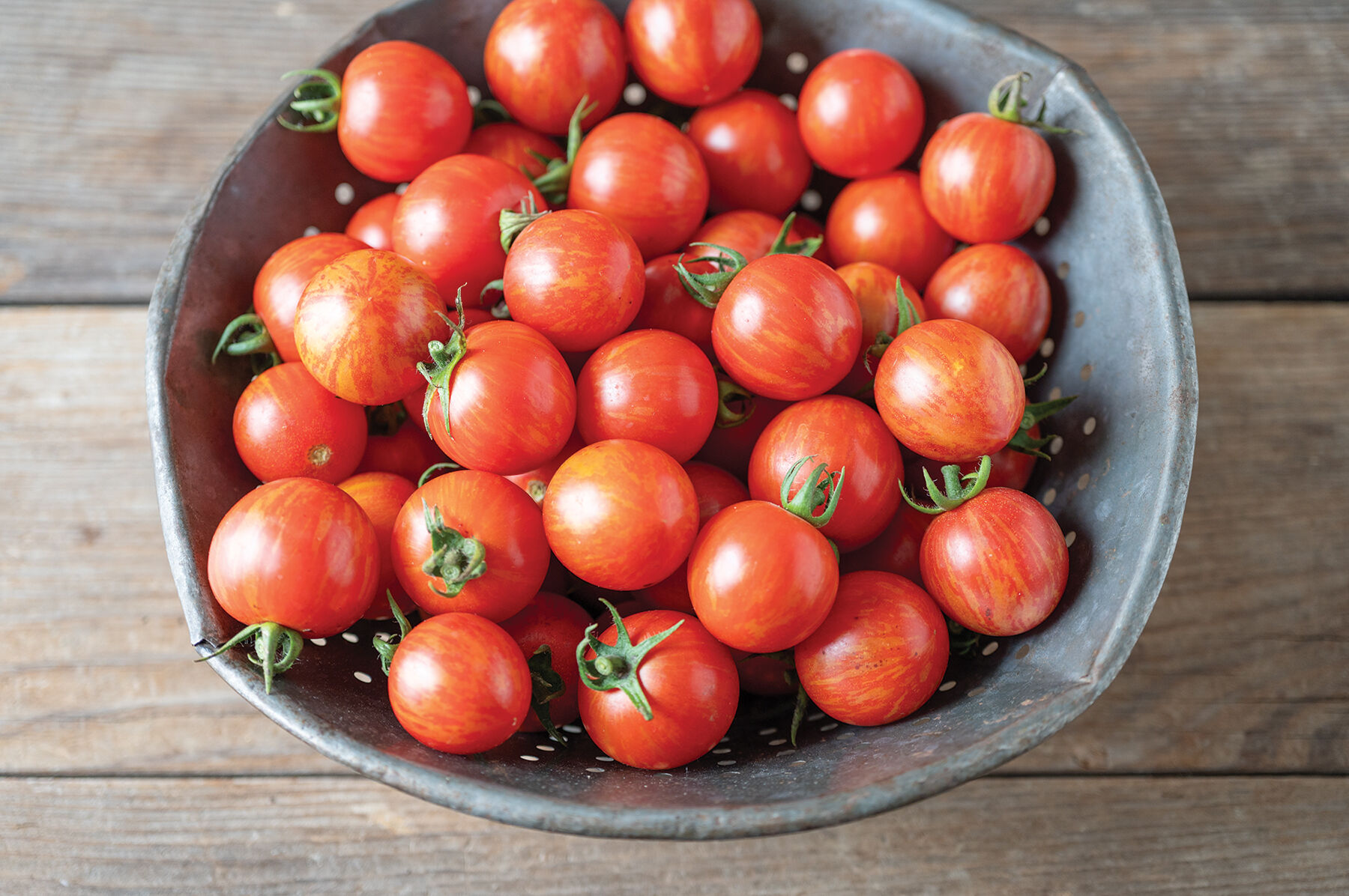 Honey Bee - Organic (F1) Tomato Seed | Johnny's Selected Seeds