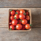 Honey Bee Cherry Tomatoes