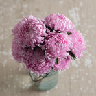 Tower Salmon Tower Salmon Aster