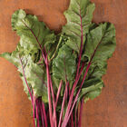 Early Wonder Tall Top Early Wonder Tall Top Beet Greens