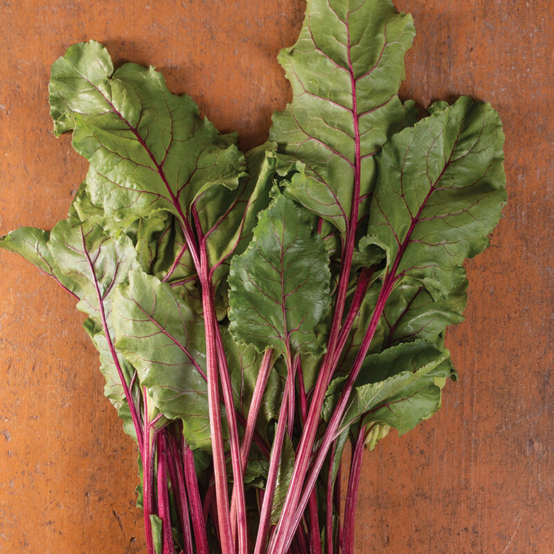 Early Wonder Tall Top Beet Greens