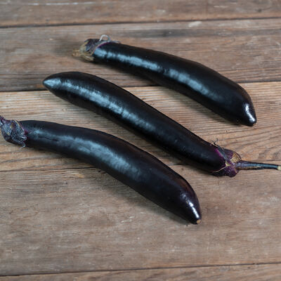Shinkansen Asian Eggplants