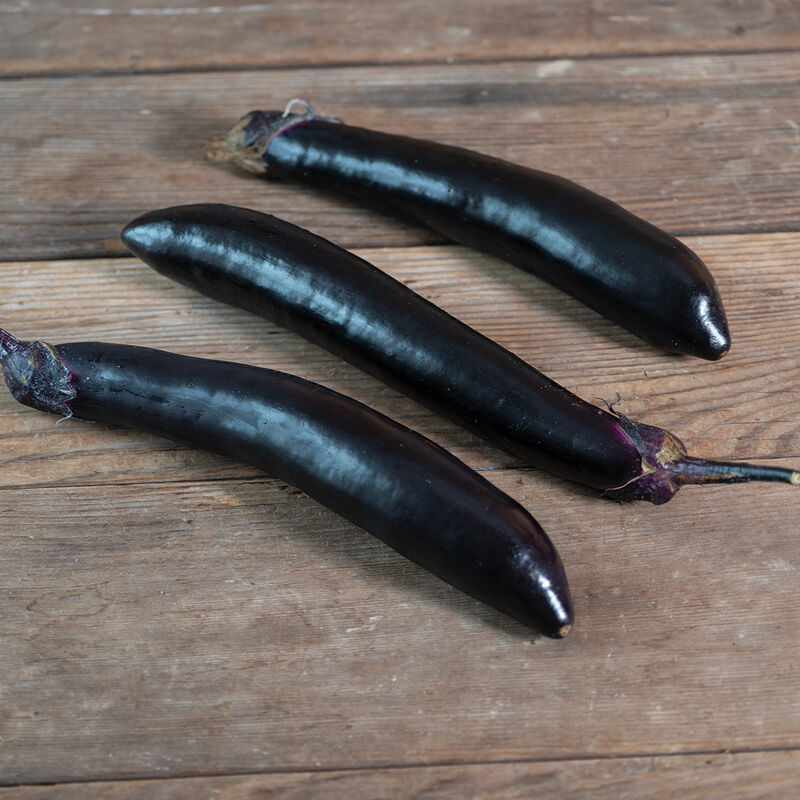 Shinkansen Asian Eggplants