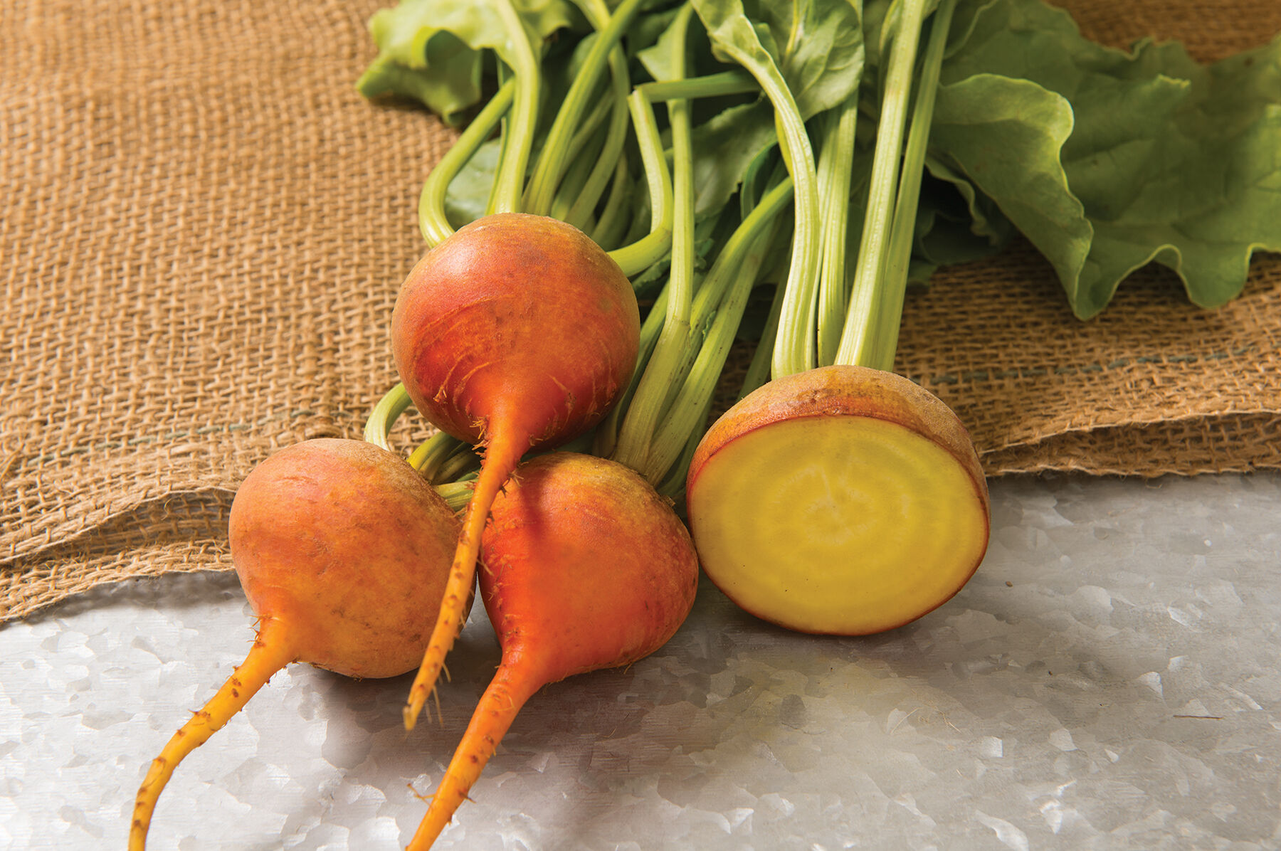 Boldor - Organic Golden Beet Seeds | Johnny's Selected Seeds