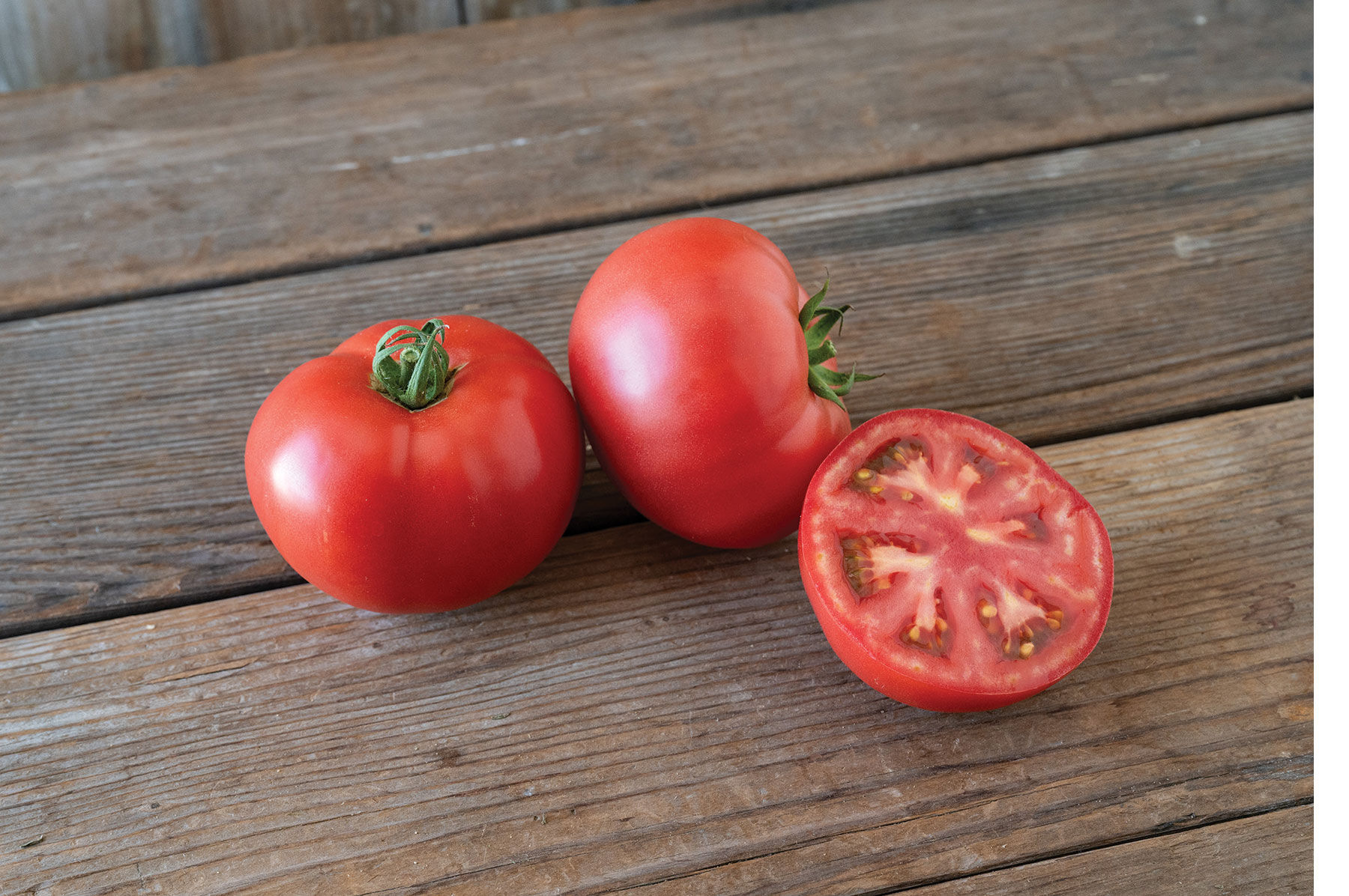 Specialty Tomato Seeds | Johnny's Selected Seeds