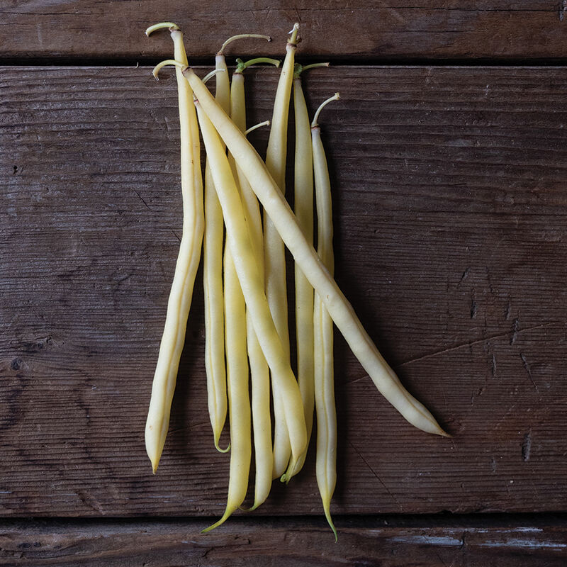 Bamako Bush Beans