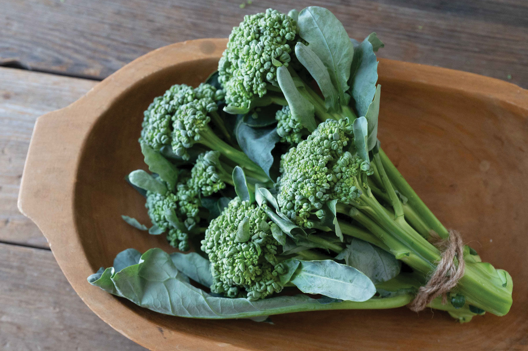 Johnny's - ブロッコリー Sidekick - Broccoli Seed | Johnny's Selected Seeds