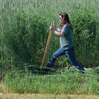Cover Crop Termination Bar Bed Preparation Tools