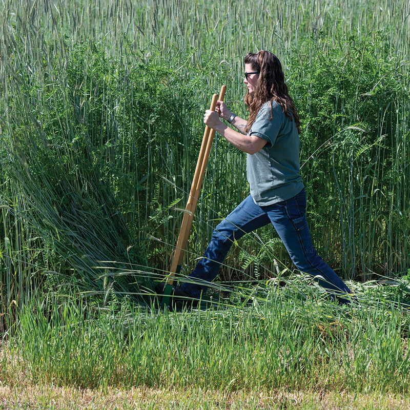 Cover Crop Termination Bar Bed Preparation Tools
