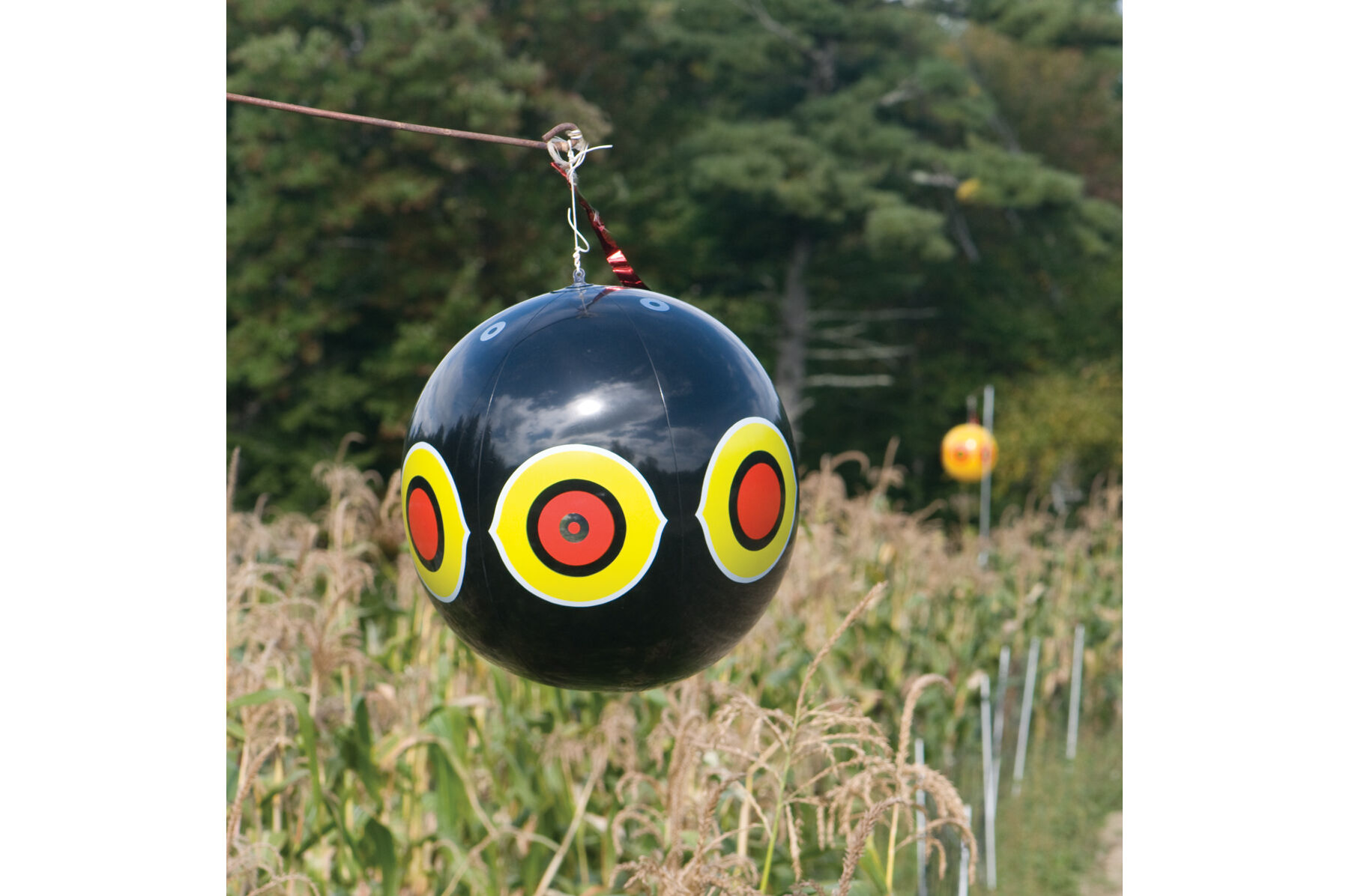 Terror-Eyes Balloons Repellents