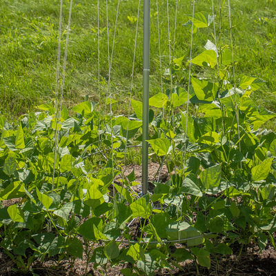 Bean Tower – 60" Cages & Fences