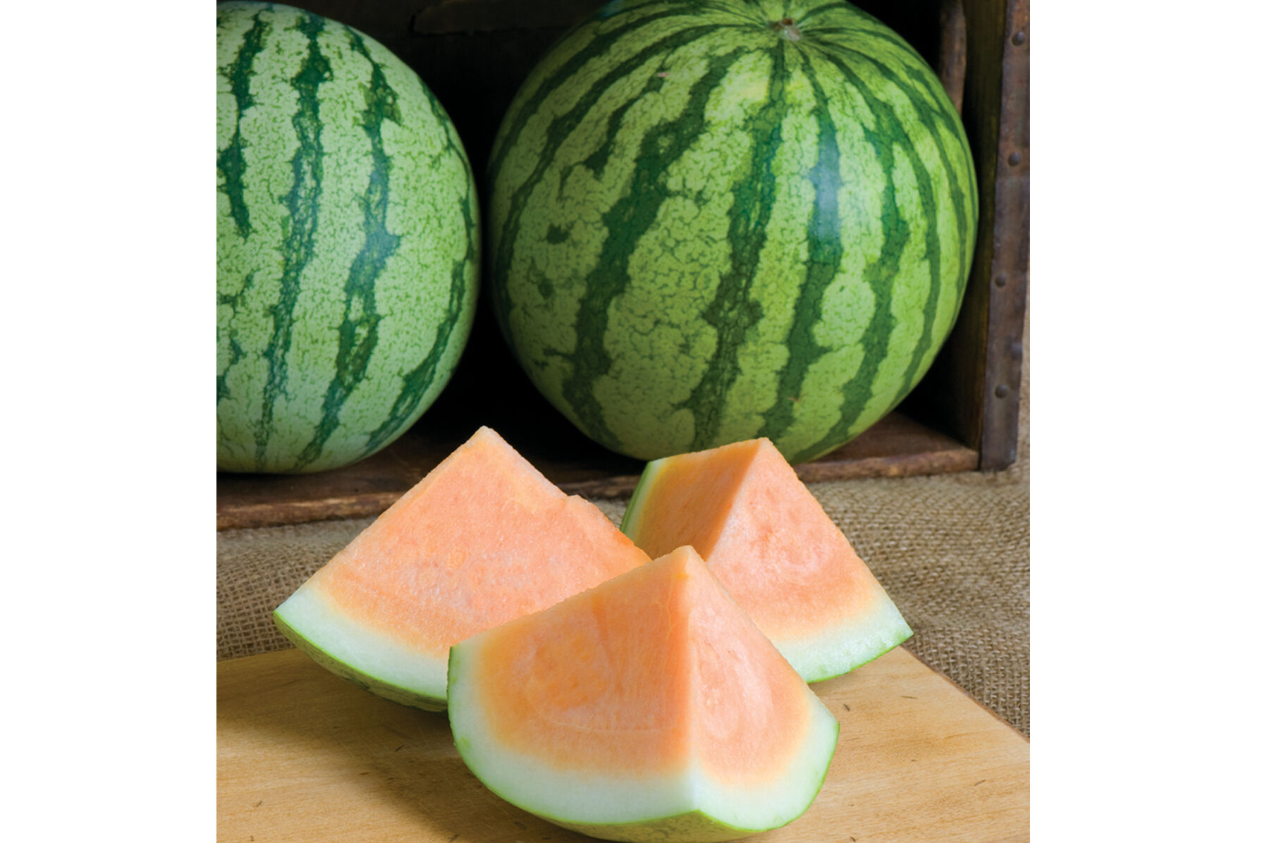 Orange Crisp Orange Watermelon Seeds Johnny s Selected Seeds