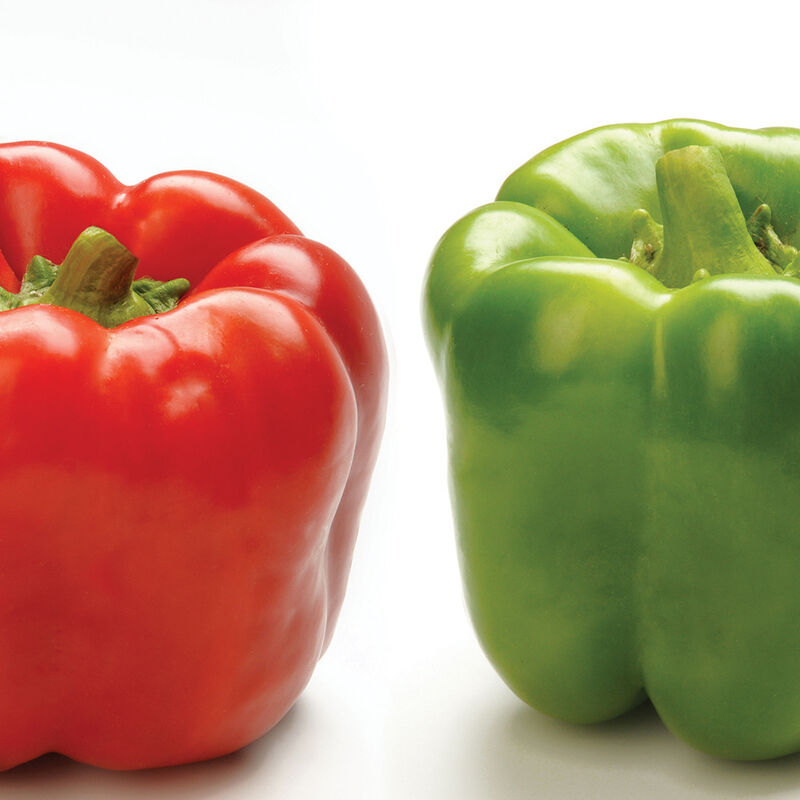 Procraft Procraft Sweet Bell Peppers