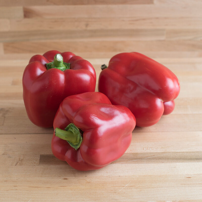 X3R® Red Knight Sweet Bell Peppers