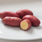 French Fingerling Potatoes