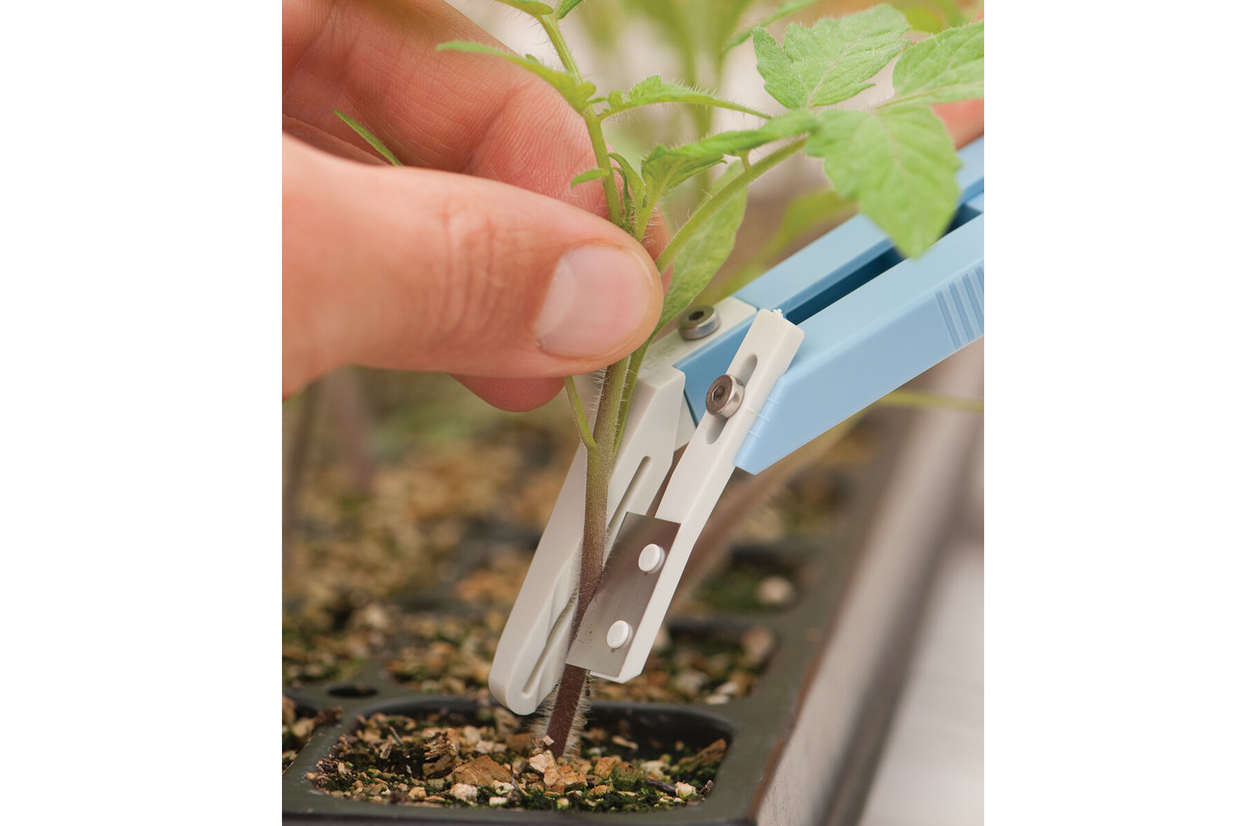 Miter-Cut Grafting Knife Seed Starting Supplies