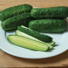 Supremo Pickling Cucumbers
