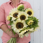 ProCut® White Nite Tall Sunflowers