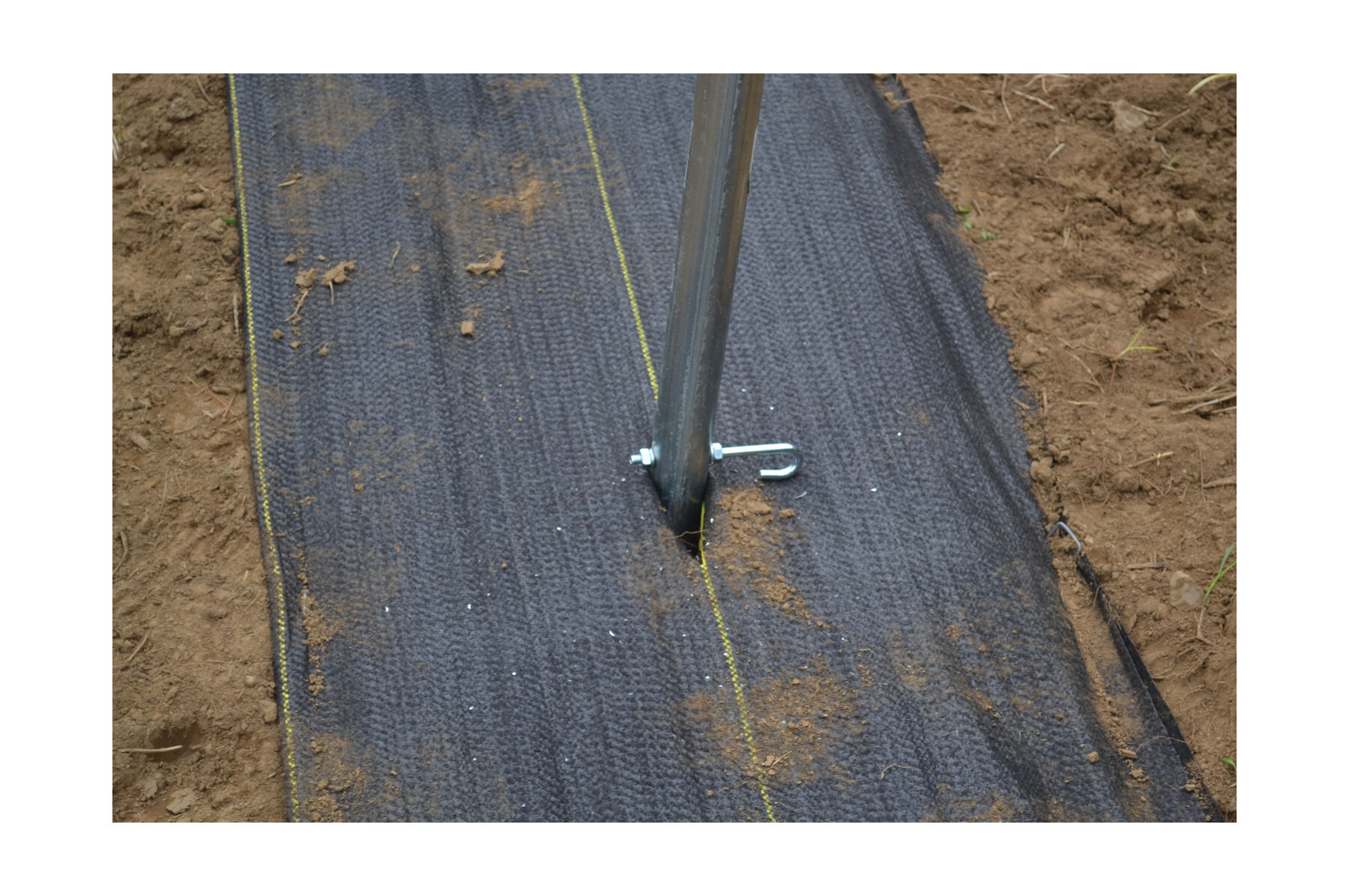 Pro 5 Weed Barrier &ndash; 4' x 50' Fabric Mulch