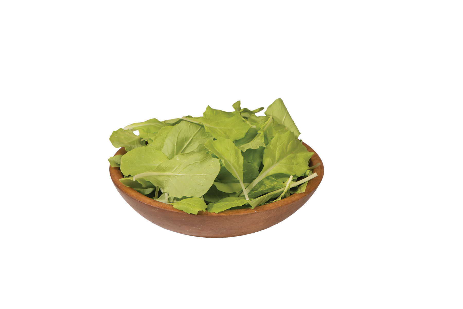 菜花ページ Tokyo Bekana - (F1) Asian Green Seed | Johnny's Selected Seeds