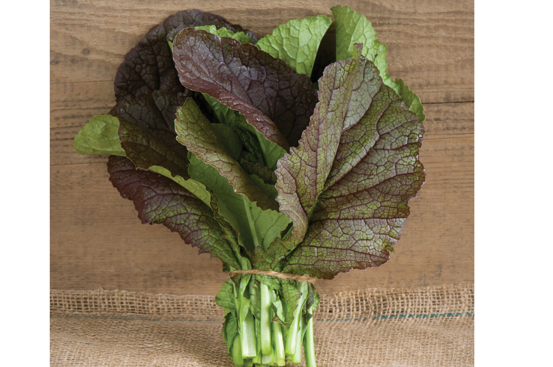 Red Giant Mustard Greens