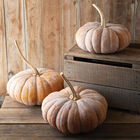 Wan Fu Specialty Pumpkins