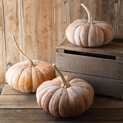 Wan Fu Specialty Pumpkins