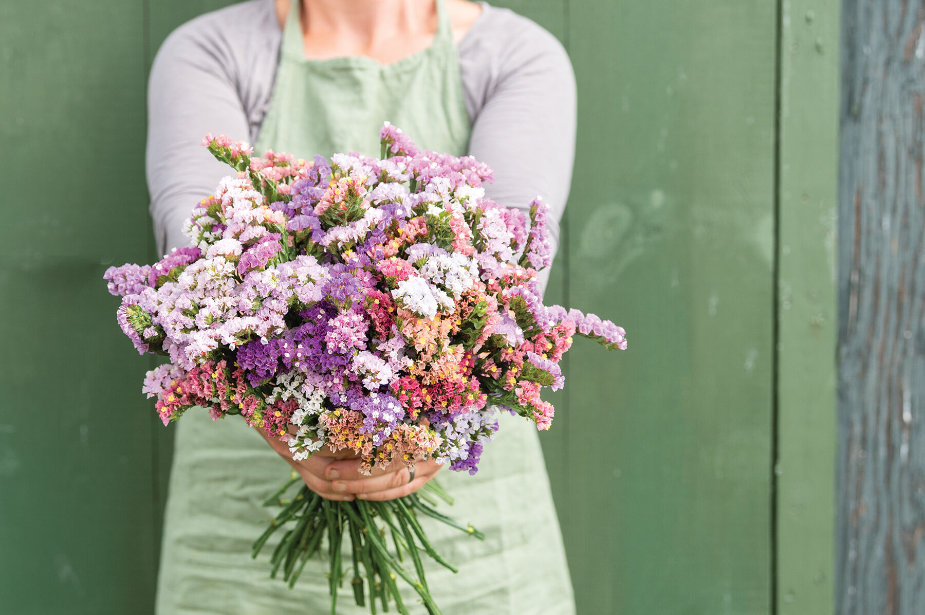 Johnny's Pastel Mix Statice