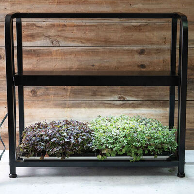 Johnny's&nbsp;Infinite&nbsp;Adjustable&nbsp;LED Light Stand LED