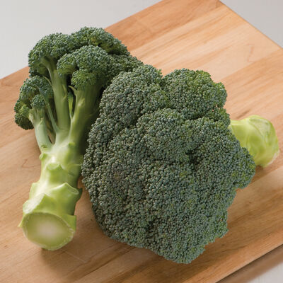 Imperial Standard Broccoli