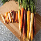 Glow Stix Sunrise Mix Carrot Mixes