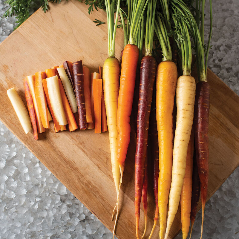 Glow Stix Sunrise Mix Carrot Mixes
