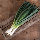 Jumper Leeks