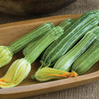 Costata Romanesco Costata Romanesco