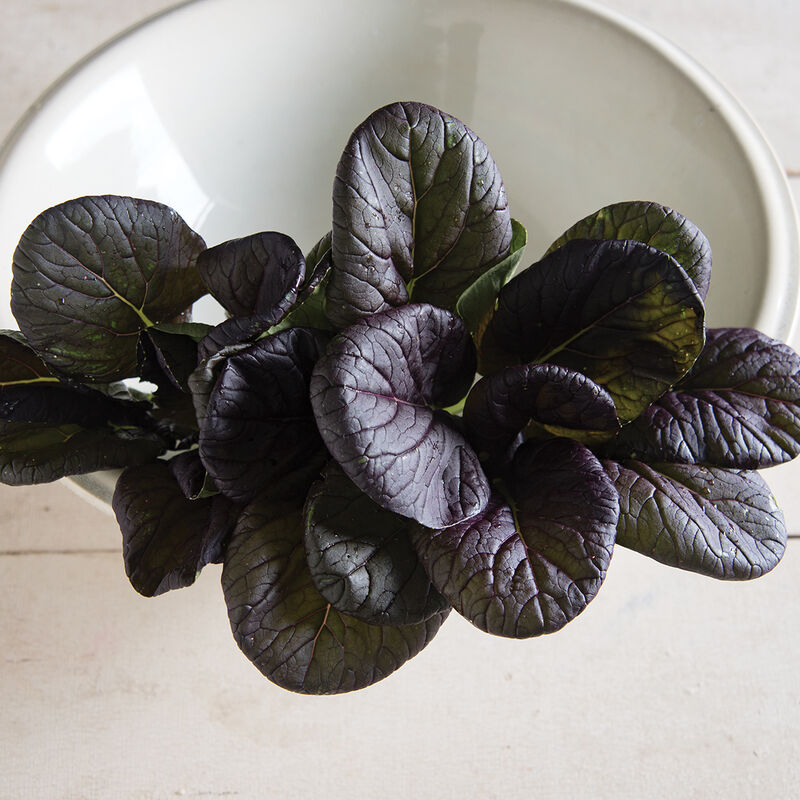 Red Cloud Asian Greens