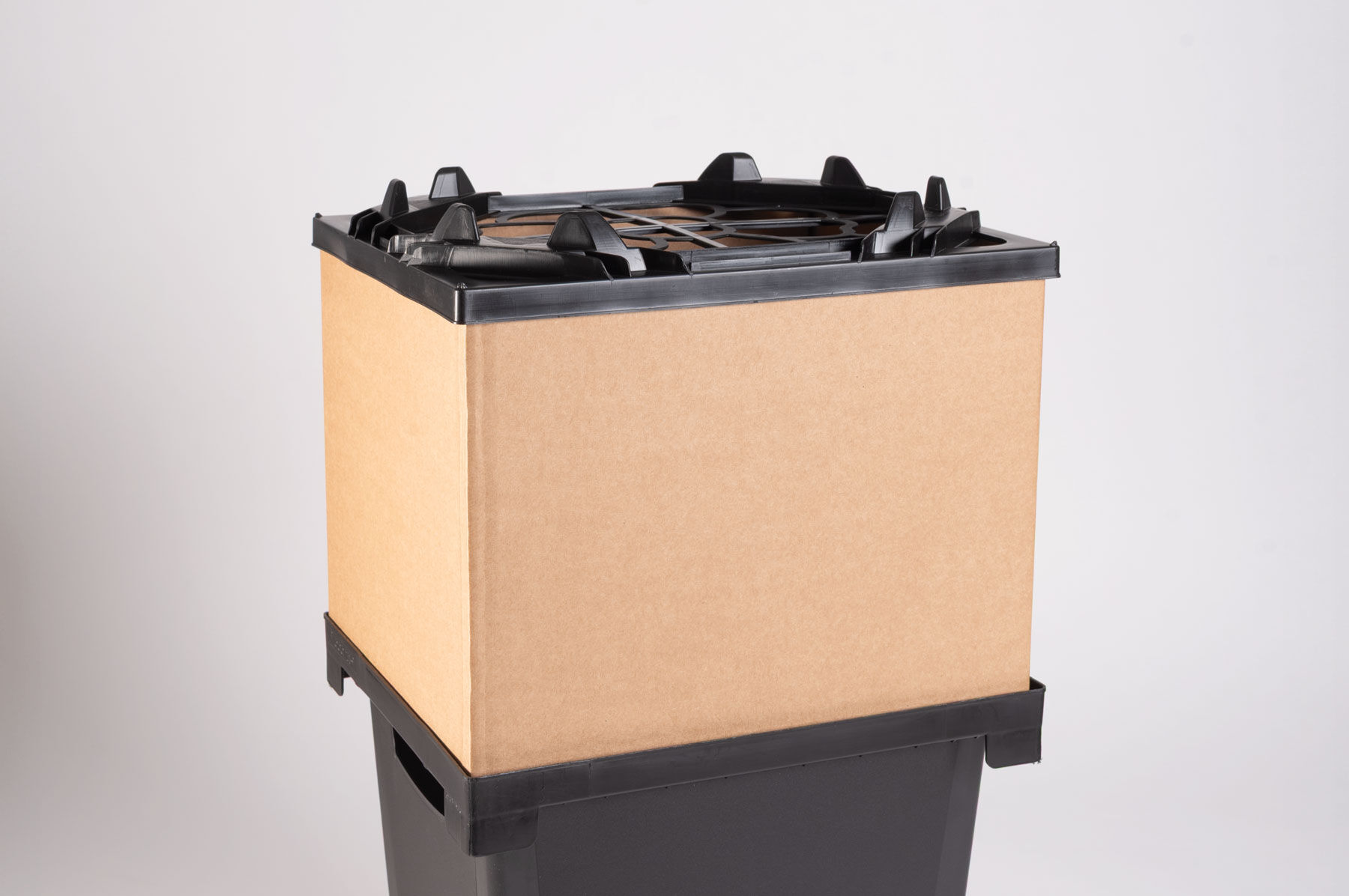 Florida Collar &ndash; 9" Florida Series