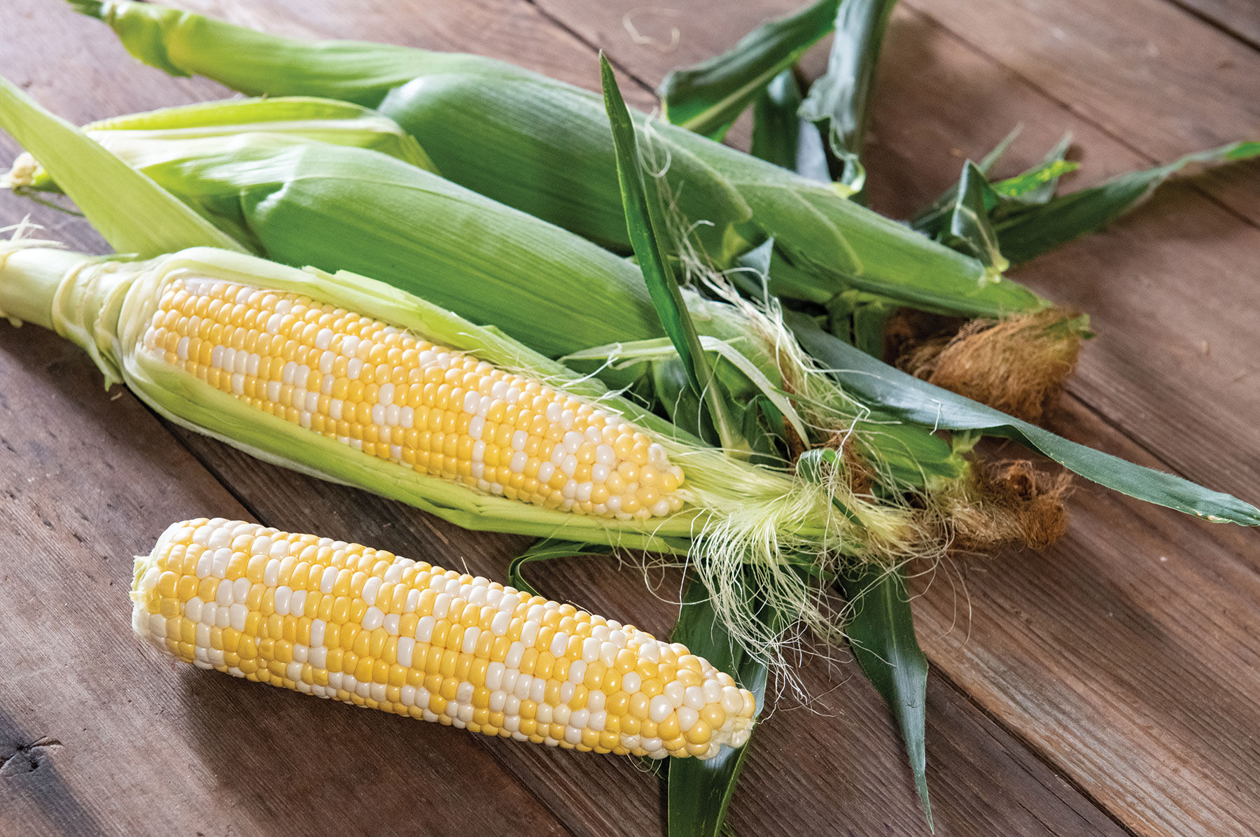 Solstice Sweet Corn